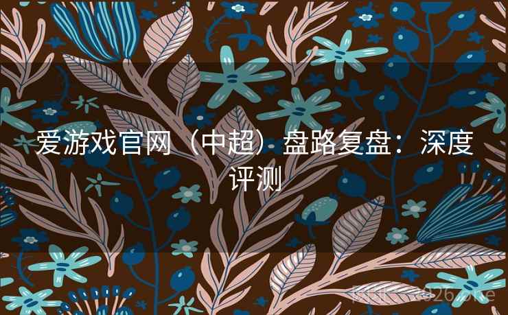 爱游戏官网(中超)盘路复盘:深度评测