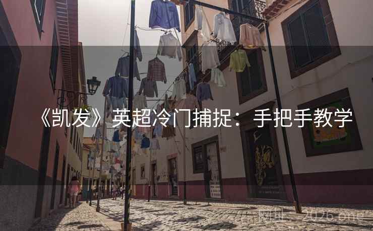 《凯发》英超冷门捕捉:手把手教学