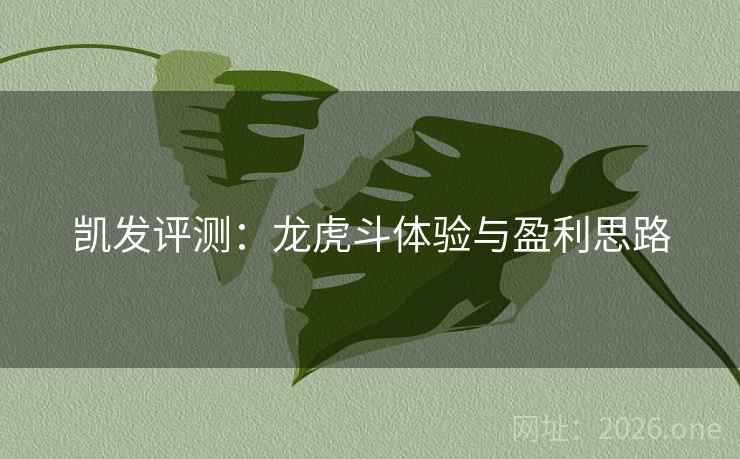 凯发评测:龙虎斗体验与盈利思路