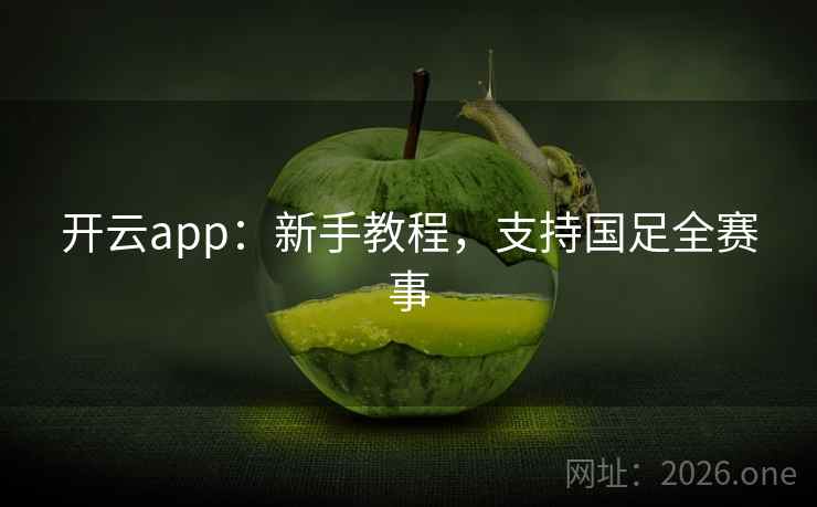 开云app:新手教程,支持国足全赛事